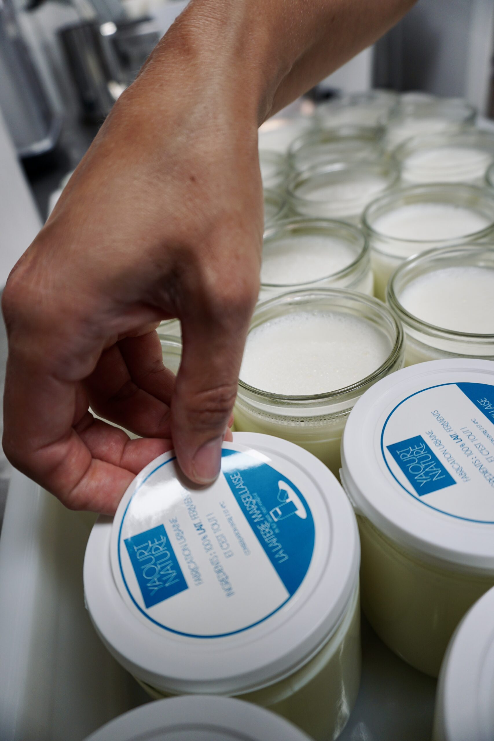 Production yaourt lait cru